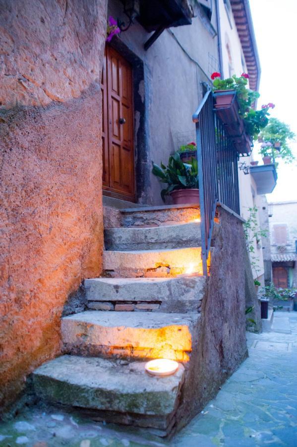 Villa Casa Flora Civitella dʼAgliano Exterior foto